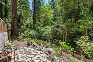 Single Family Residence, Wildwood lane, Russian River, CA 95421 - 36