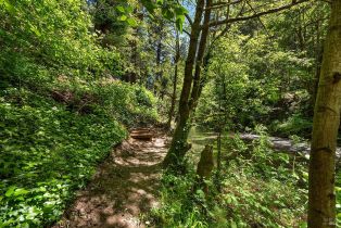 Single Family Residence, Wildwood lane, Russian River, CA 95421 - 28