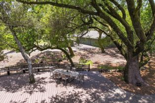 Single Family Residence, Grove street, Sonoma, CA 95476 - 44