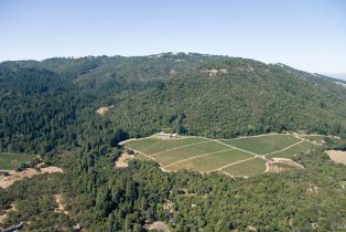 Single Family Residence,  Sonoma Mountain road, Glen Ellen, CA 95442 - 47