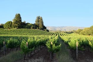 Single Family Residence,  Sonoma Mountain road, Glen Ellen, CA 95442 - 46