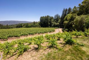 Single Family Residence,  Sonoma Mountain road, Glen Ellen, CA 95442 - 45