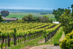 Single Family Residence, 1150 Bayview Ave, Napa, CA  Napa, CA 94559