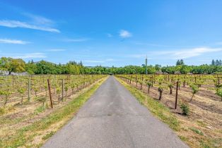 Single Family Residence, Hedgeside avenue, Napa, CA 94558 - 72