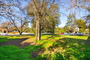 Residential Lot,  1ST street, Cloverdale, CA 95425 - 6