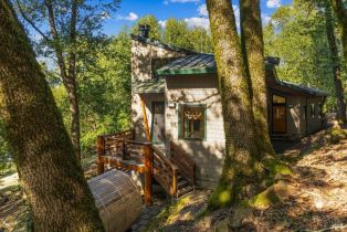 Single Family Residence,  Zachary lane, Santa Rosa, CA 95404 - 42