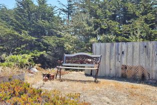 Single Family Residence,  Driftwood avenue, Bodega Bay, CA 94923 - 45