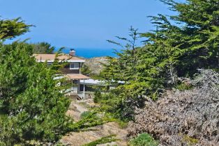 Single Family Residence,  Driftwood avenue, Bodega Bay, CA 94923 - 43