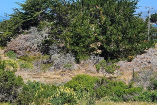 Single Family Residence,  Driftwood avenue, Bodega Bay, CA 94923 - 42