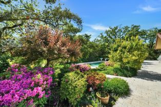 Single Family Residence, Bennett Valley road, Santa Rosa, CA 95404 - 23