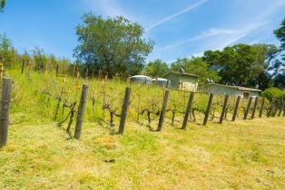 Single Family Residence,  Westside road, Healdsburg, CA 95448 - 57