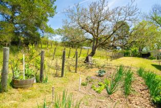 Single Family Residence,  Westside road, Healdsburg, CA 95448 - 44