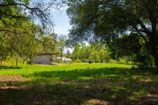 Single Family Residence,  Westside road, Healdsburg, CA 95448 - 46