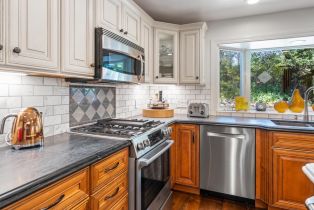 Single Family Residence,  Westside road, Healdsburg, CA 95448 - 17