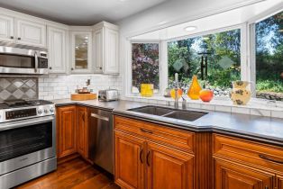 Single Family Residence,  Westside road, Healdsburg, CA 95448 - 19