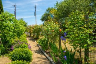 Single Family Residence,  Westside road, Healdsburg, CA 95448 - 41