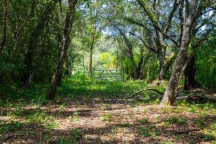 Single Family Residence,  Westside road, Healdsburg, CA 95448 - 51