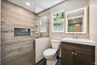 Single Family Residence,  Starrett Hill drive, Russian River, CA 95462 - 31