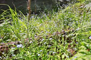 Single Family Residence,  Starrett Hill drive, Russian River, CA 95462 - 47