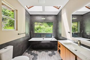 Single Family Residence,  Starrett Hill drive, Russian River, CA 95462 - 11