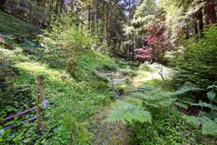 Single Family Residence,  Starrett Hill drive, Russian River, CA 95462 - 49