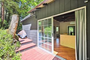 Single Family Residence,  Starrett Hill drive, Russian River, CA 95462 - 43