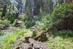 Single Family Residence,  Starrett Hill drive, Russian River, CA 95462 - 45