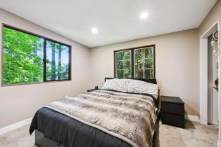 Single Family Residence,  Starrett Hill drive, Russian River, CA 95462 - 28