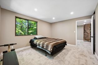 Single Family Residence,  Starrett Hill drive, Russian River, CA 95462 - 38