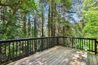 Single Family Residence,  Starrett Hill drive, Russian River, CA 95462 - 40