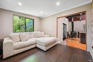 Single Family Residence,  Starrett Hill drive, Russian River, CA 95462 - 22