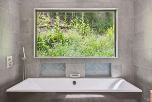 Single Family Residence,  Starrett Hill drive, Russian River, CA 95462 - 12