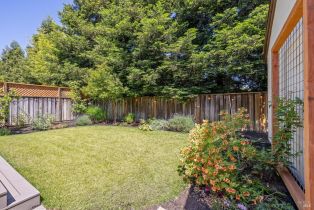 Single Family Residence, jones street, Sonoma, CA 95476 - 62