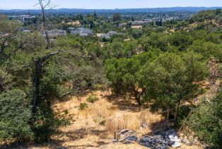 Residential Lot,  Viewpointe circle, Santa Rosa, CA 95403 - 18
