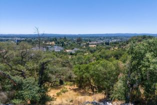 Residential Lot,  Viewpointe circle, Santa Rosa, CA 95403 - 4
