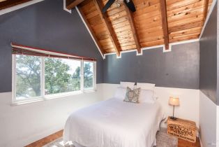 Single Family Residence, Mount George avenue, Napa, CA 94558 - 40