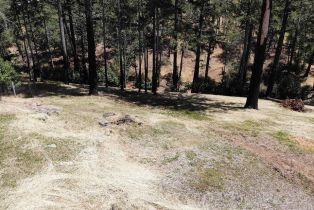 Residential Lot,  Moss Hollow court, Santa Rosa, CA 95404 - 12