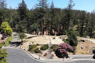 Residential Lot,  Moss Hollow court, Santa Rosa, CA 95404 - 11