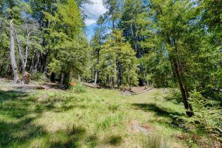 Residential Lot,  Umland circle, Jenner, CA 95450 - 10