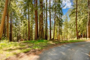 Residential Lot,  Umland circle, Jenner, CA 95450 - 4