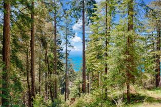 Residential Lot,  Umland circle, Jenner, CA 95450 - 2