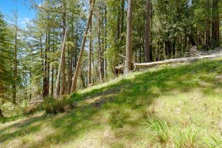 Residential Lot,  Umland circle, Jenner, CA 95450 - 13