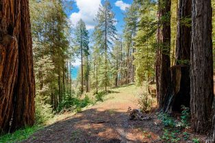 Residential Lot,  Umland circle, Jenner, CA 95450 - 7