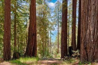 Residential Lot,  Umland circle, Jenner, CA 95450 - 3