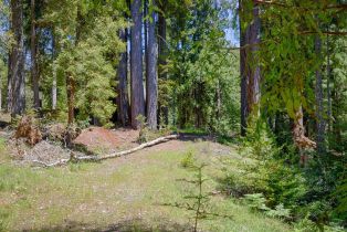 Residential Lot,  Umland circle, Jenner, CA 95450 - 14