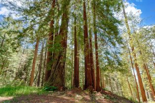 Residential Lot,  Umland circle, Jenner, CA 95450 - 5