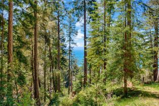 Residential Lot,  Umland circle, Jenner, CA 95450 - 16