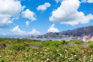 Residential Lot,  Umland circle, Jenner, CA 95450 - 18