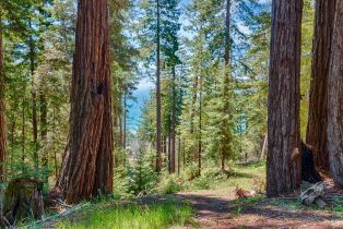 Land, 22196 Umland Cir, Jenner, CA  Jenner, CA 95450