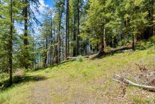 Residential Lot,  Umland circle, Jenner, CA 95450 - 15